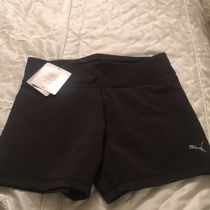 Puma workout shorts